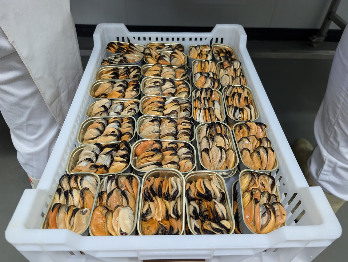 Mexilhão em latas abertas, antes de fechar, na fábrica de Sagres