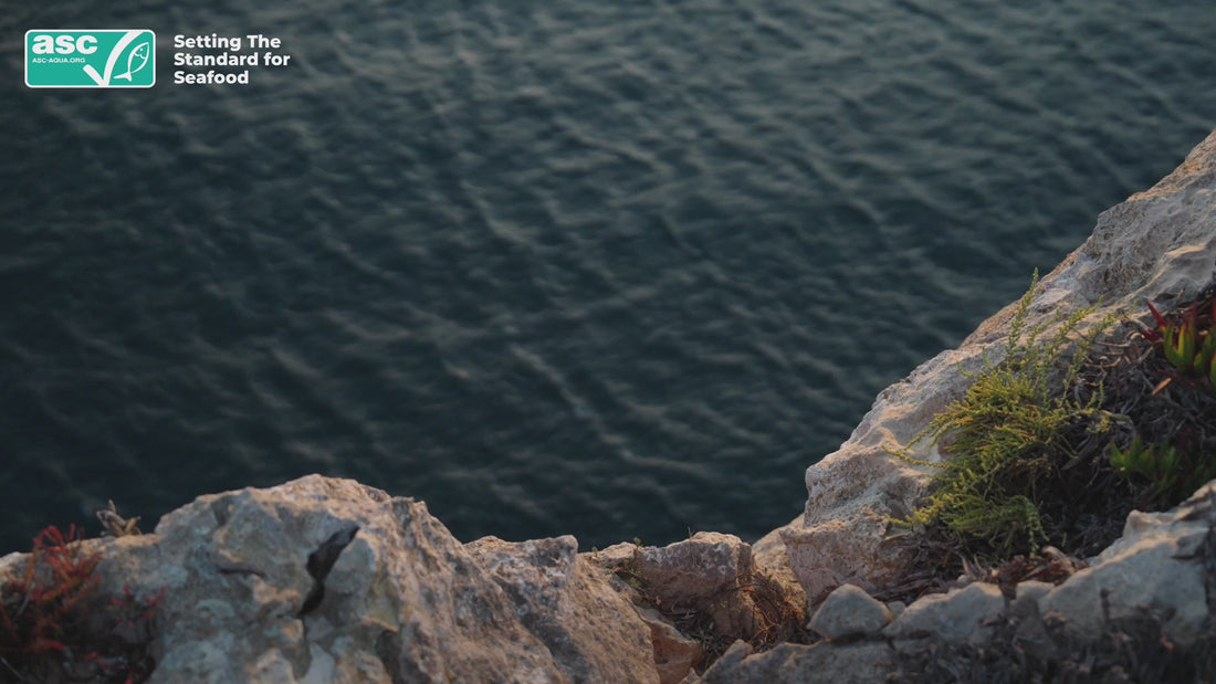 Finisterra, Sagres