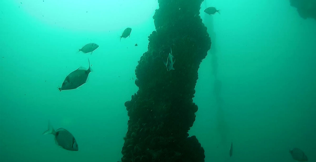 underwater